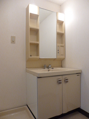 Washroom. Independent wash basin