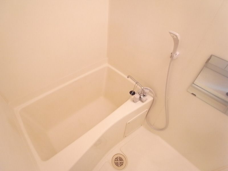 Bath. During healing Bathroom!