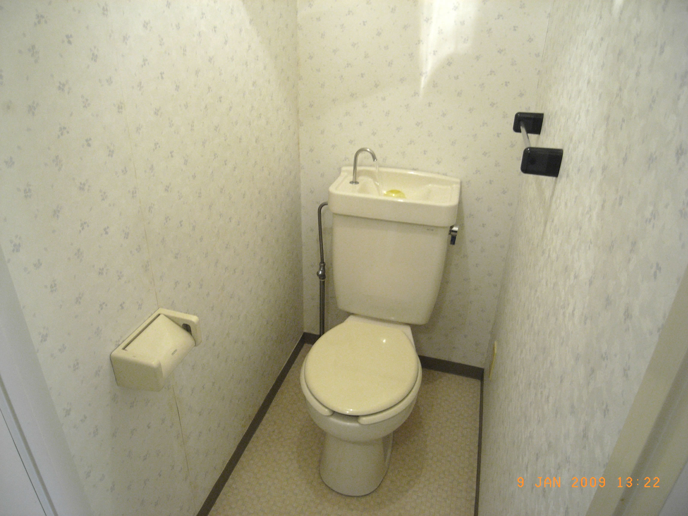 Toilet