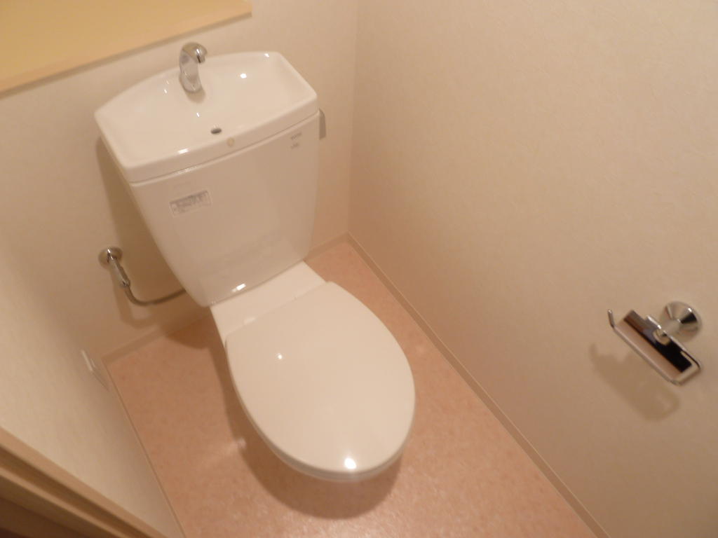 Toilet. Restroom with cleanliness