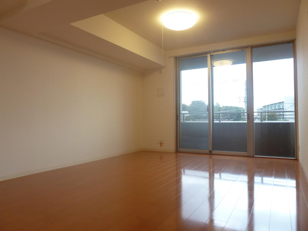 Living and room. Interior also shine spacious living