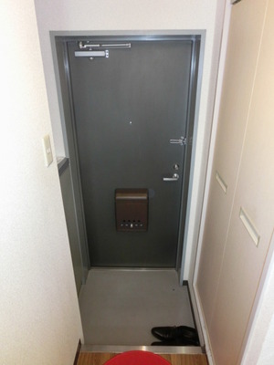 Entrance. Entrance with a shoe box