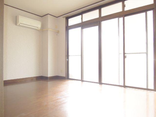 Garden. Bright room with a wide window.