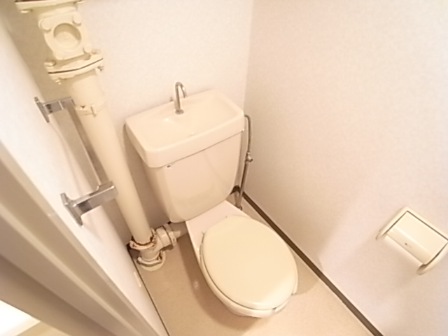 Toilet. Toilet I always beautiful.