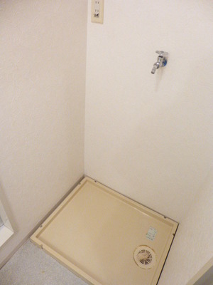 Other Equipment. Opposite the wash basin will be the washing machine Storage