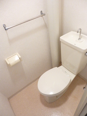 Toilet. Toilet towel with hook