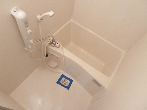 Bath. In the bath, We whopping mist sauna also attached