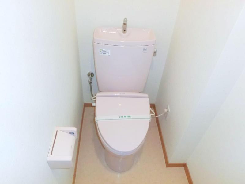 Toilet. Rest room with cleanliness