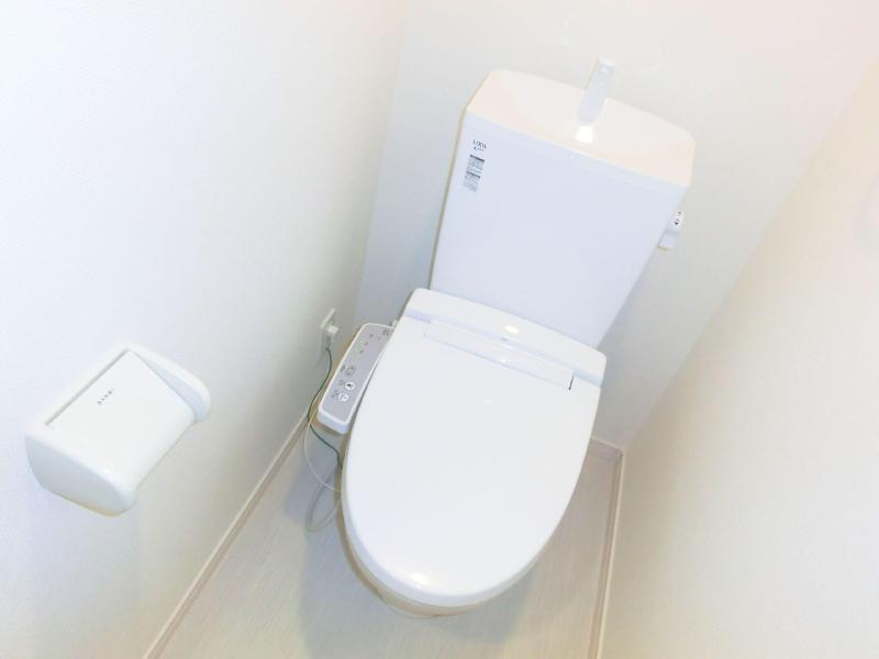 Toilet. Rest room with cleanliness