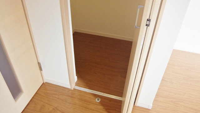 Other room space. There is a walk-in closet!