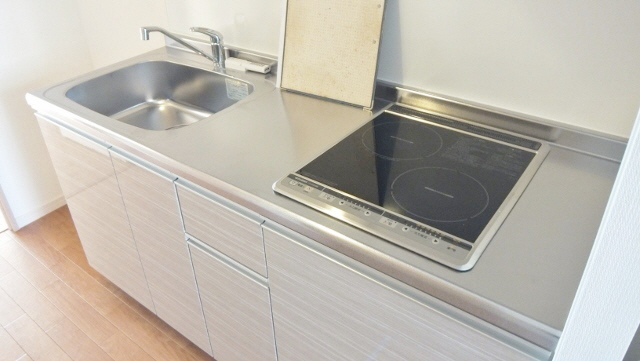 Kitchen. Two-burner IH hob