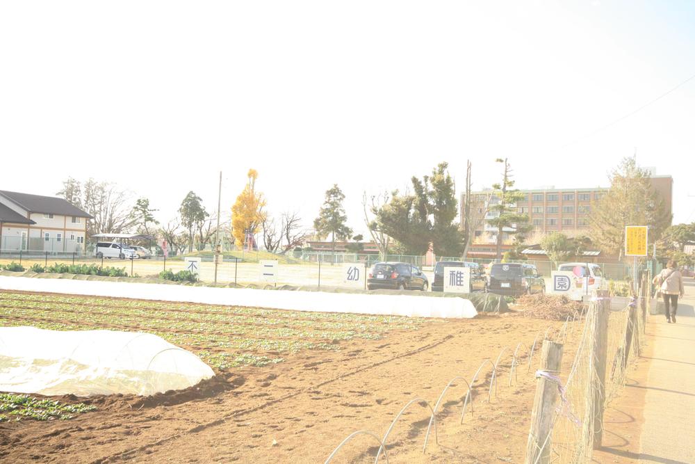 kindergarten ・ Nursery. 499m to Fuji kindergarten