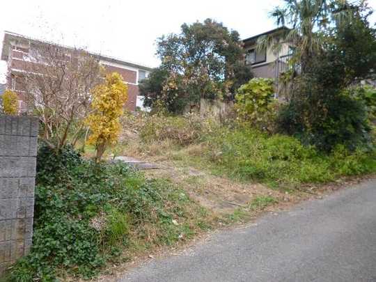 Local land photo. Target area