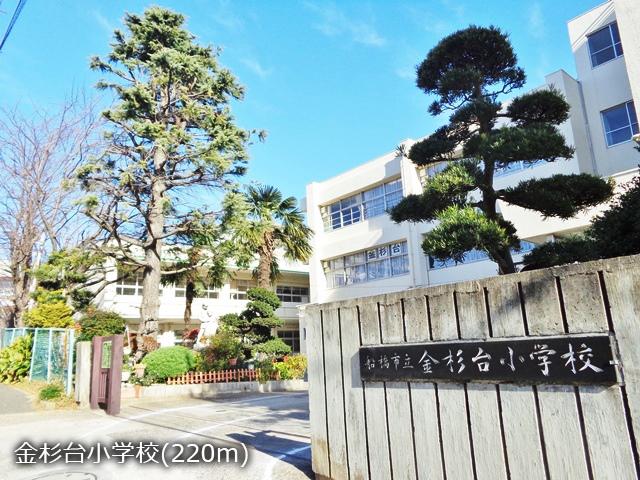 Primary school. Kanasugidai until elementary school 220m