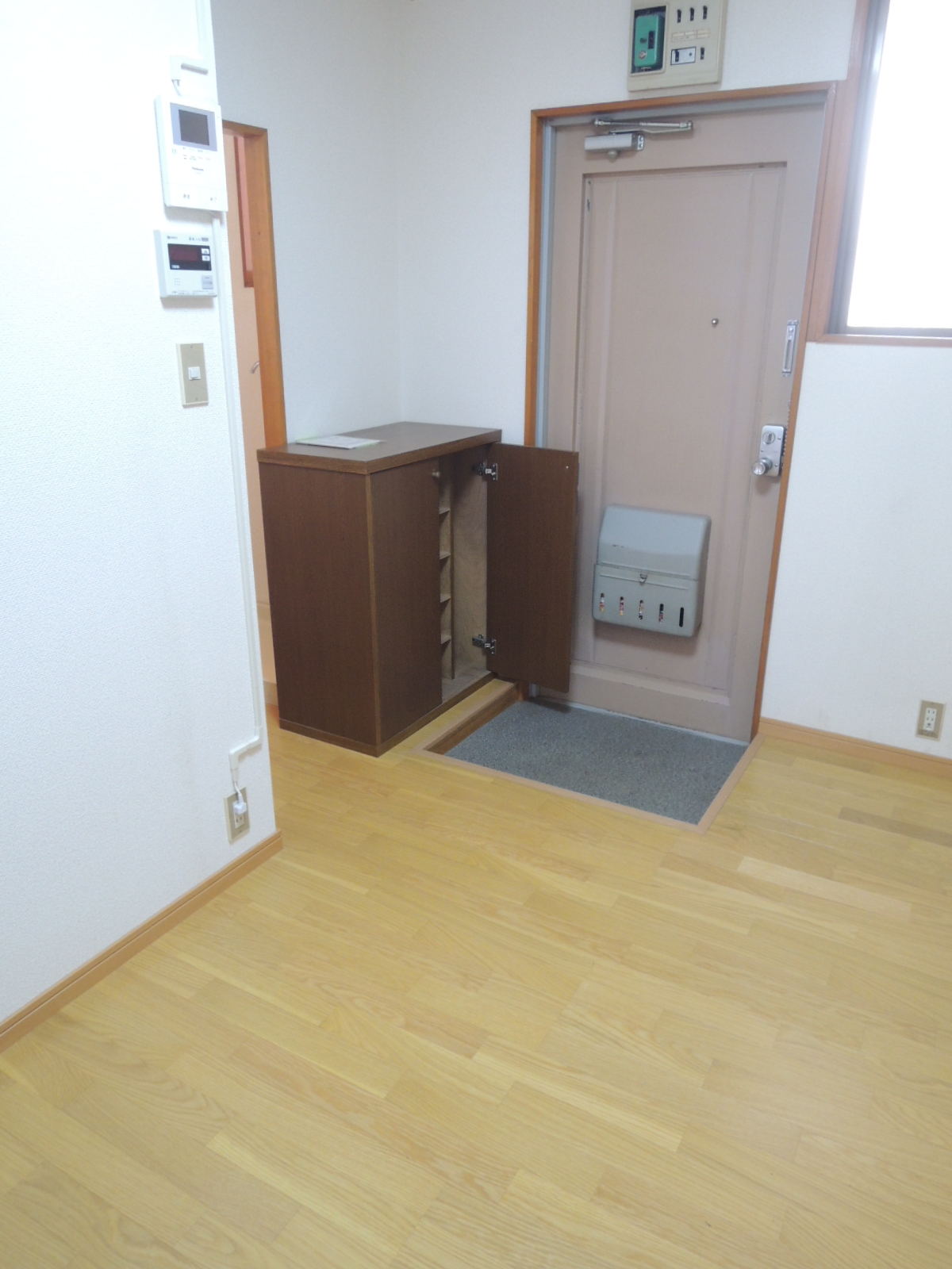 Entrance. Shoe box does not forget