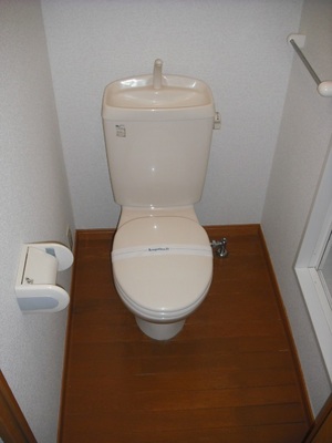 Toilet. Yes towel holder