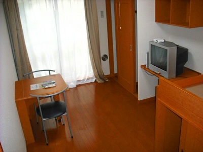 Living and room. Internet Unlimited (surcharge)