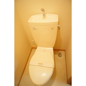 Washroom. Washbasin independence