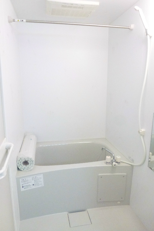 Bath. Clean bathroom with a bathroom dryer