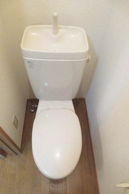 Toilet. It is a toilet with a clean of.