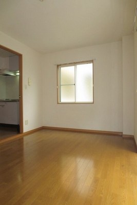 Living and room. It is a bright room with two-sided lighting.