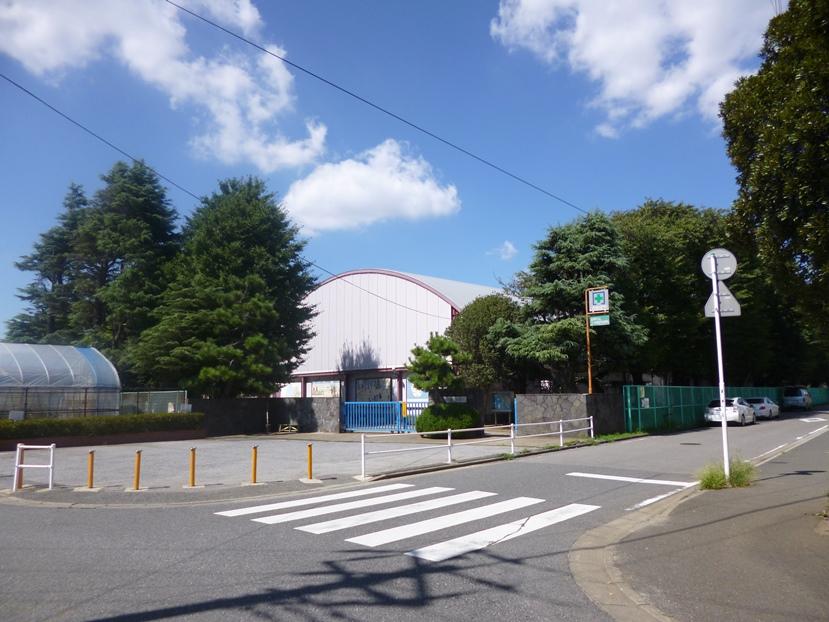 Primary school. Nakanogi until elementary school 260m