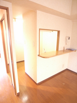 Other room space. Counter kitchen longing of equipment NO, 3