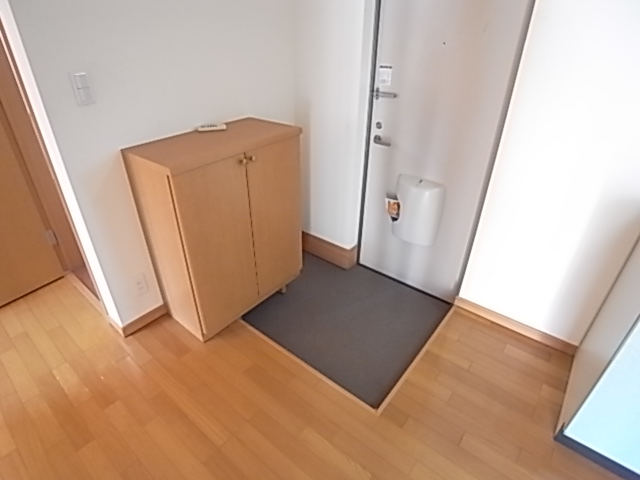 Entrance. There are shoe box. .