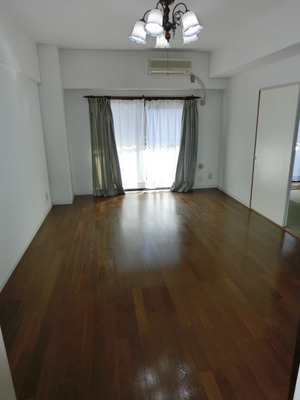 Living and room. A bright room