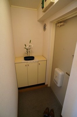 Entrance. There is a shoe box in the foyer.