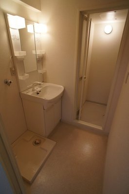 Washroom. Wash basin is with shower.