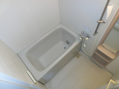 Bath. Clean bathroom