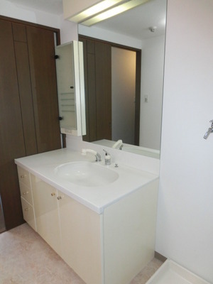 Washroom. Large washbasin