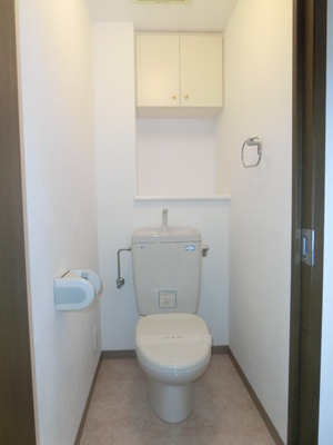 Toilet. It is a beautiful toilet