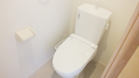 Toilet. Washlet is the type of toilet