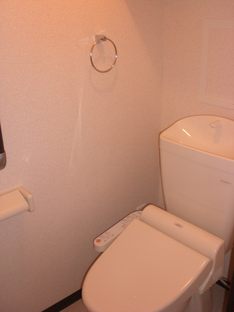 Toilet. With warm water washing toilet seat