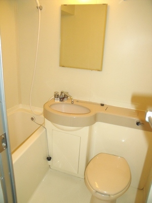 Washroom. Wash basin