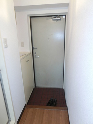 Entrance. Entrance with a shoe box