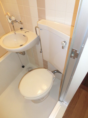 Toilet. Western-style toilet