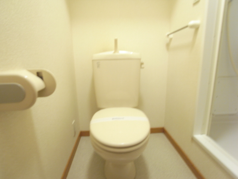 Toilet. Bathing toilet Separate! 