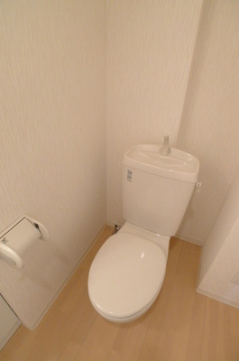 Toilet. Toilet