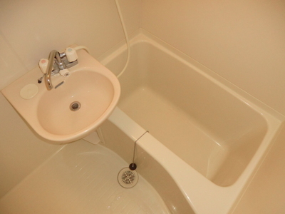 Bath. Beautiful bathroom