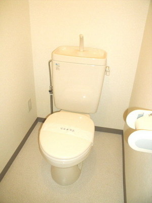 Toilet. It is a Western-style toilet