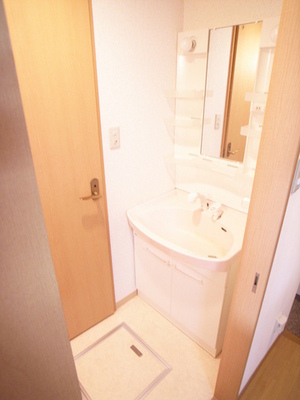 Washroom. Glad Shampoo dresser