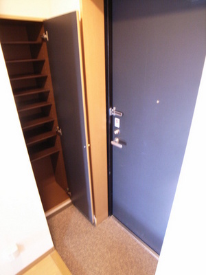 Entrance. Shoe box is also of course equipped