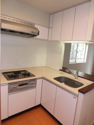 Kitchen. L-shaped counter kitchen