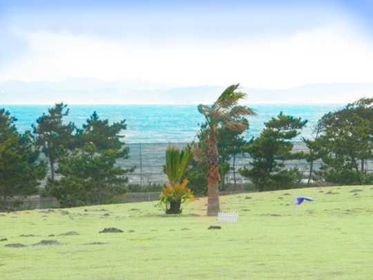 View photos from the local