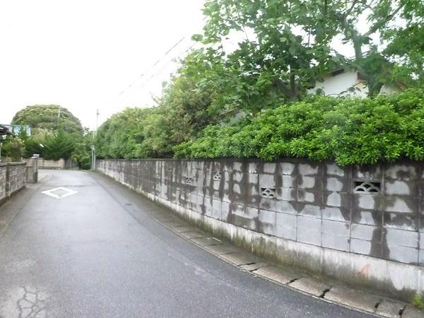 Local photos, including front road