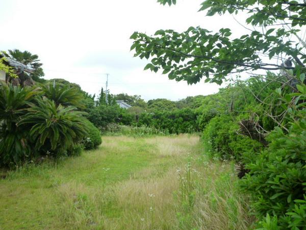 Local land photo