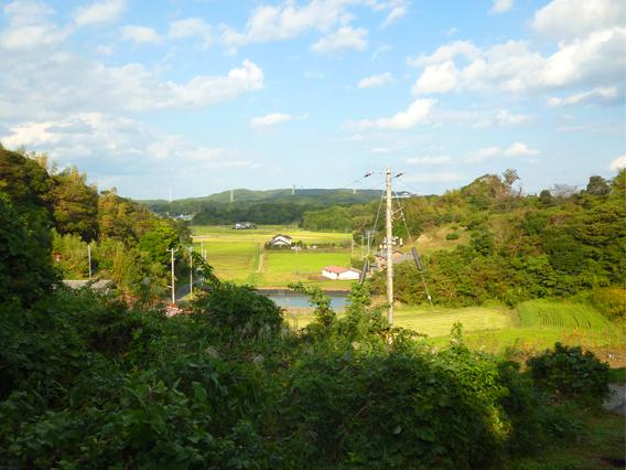 View photos from the local. View from local